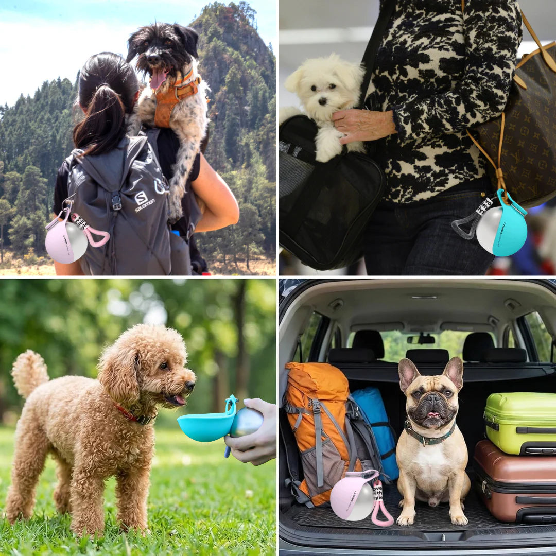 PawSome™ Dog Water Bottle With Bowl
